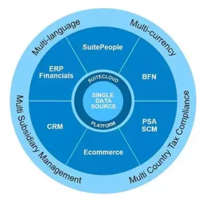 A pie chart introduces Netsuite' s service system