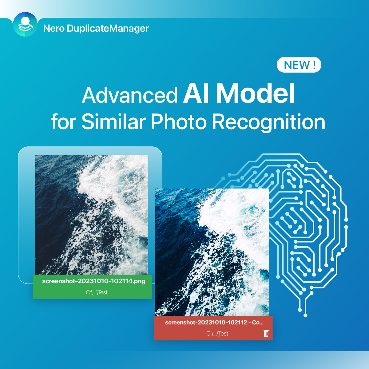 new features for nero duplicate manager 2024-ai model