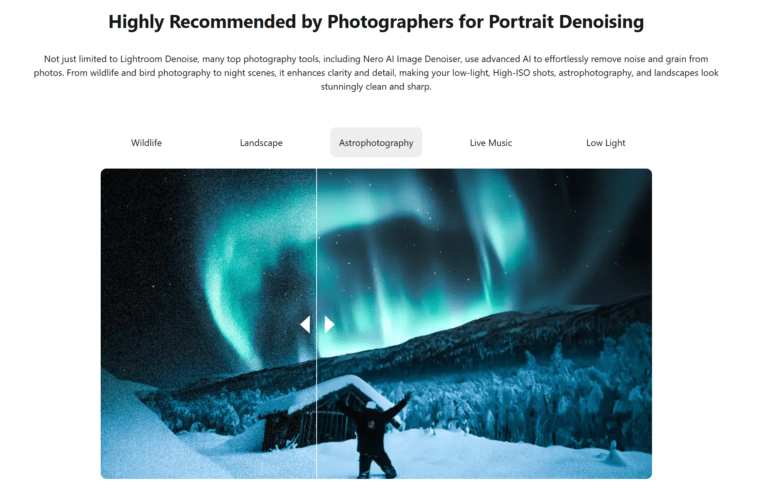 Photoshop Alternatives for Photographers-nero ai denoise